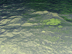 toxic chemicals in Great Lakes
